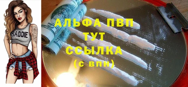 сатива Арсеньев