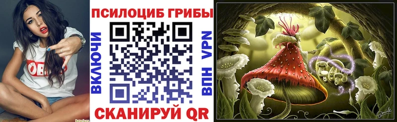 Галлюциногенные грибы Psilocybine cubensis  Зубцов 